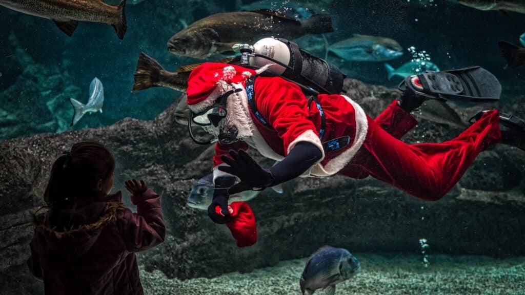 Santa underwater with scuba gear on, surrounded by various fish. Image courtesy of Georges Desipris at Pexels. 
