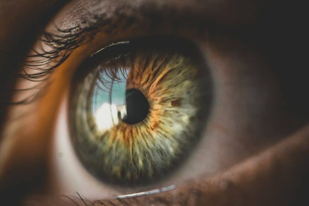 Up close image of a left human eye with the reflection of a window in it. Image courtesy of Bruno Henrique at Pexels. 
